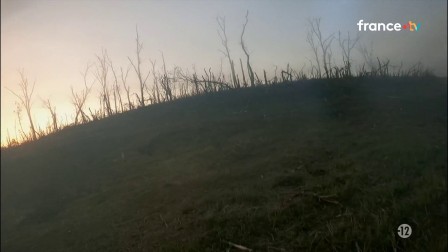 img6.jpg, 2026/01/06