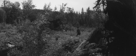 img7.jpg, 2026/02/04